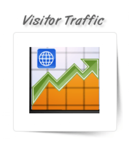 Visitor Traffic